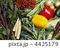 野菜たち