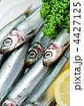 pacific round herring, ウルメイワシ