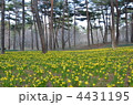 ４月の公園