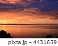 夕日３