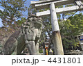 京都　安井金比羅宮　狛犬