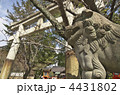 京都　安井金比羅宮　狛犬