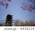 春の国分寺　岡山県