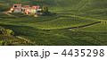 4435298