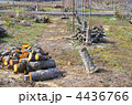 リンゴ農家の廃業　高齢化と果樹園　耕作放棄のリンゴ畑