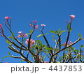 大空に向かって