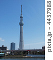 スカイツリーと橋