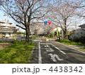 自転車道