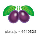 プルーン