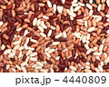 4440809
