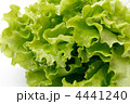 4441240