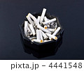 4441548