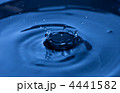 4441582