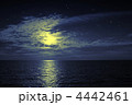 4442461