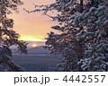 4442557