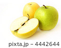 4442644