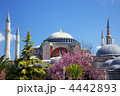 4442893