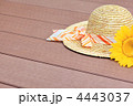 暑い夏