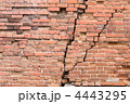 4443295