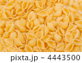 4443500
