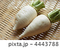 からみだいこん