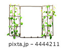 植物がからまるフレーム