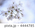 4444785