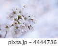 4444786