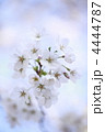 4444787