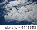 空　羊雲