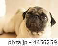 どうしたの？