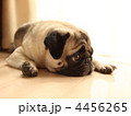 眠いな