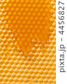 4456827