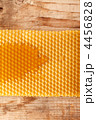 4456828