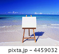 浜辺のキャンバス
