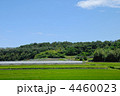田園風景 田園風景