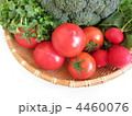 野菜
