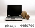 ノートパソコンと卵の化石