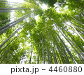 4460880
