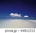 ナカチャフシ島