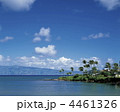 マウイの海岸