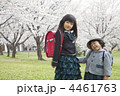 桜と姉妹