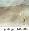 4462002