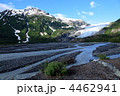 エグジット氷河