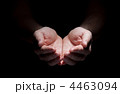 4463094