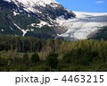 エグジット氷河