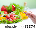 4463376