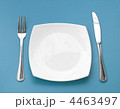 4463497