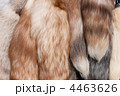 4463626