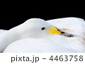 4463758